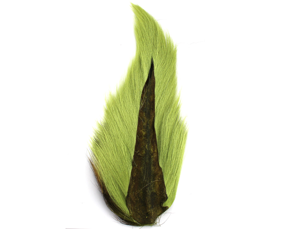 Bucktail Bucktail