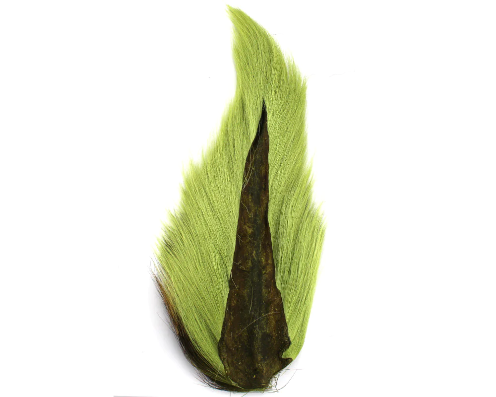 Bucktail Bucktail