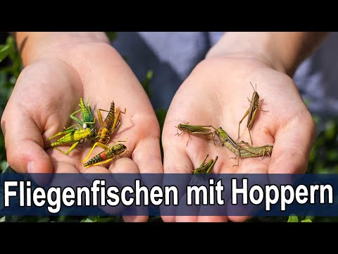 Realistic Hopper (grey)