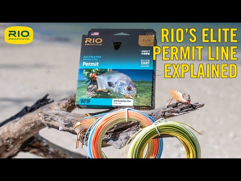 ELITE Permit Fliegenschnur 