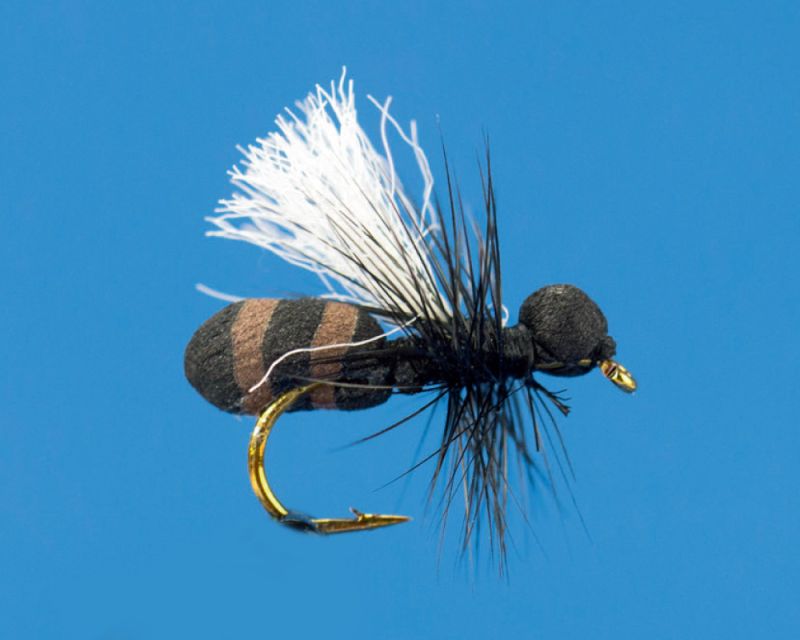 Flying Ant, cinnamon Trockenfliege